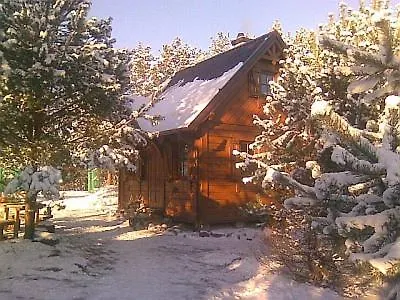 Dom Wiktor Kaszuby Do 5 Os. 別荘 Olpuch